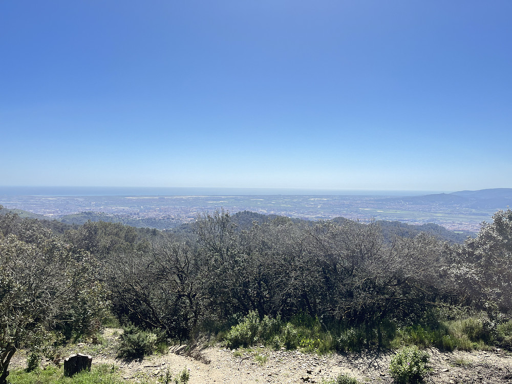 Godly view bench