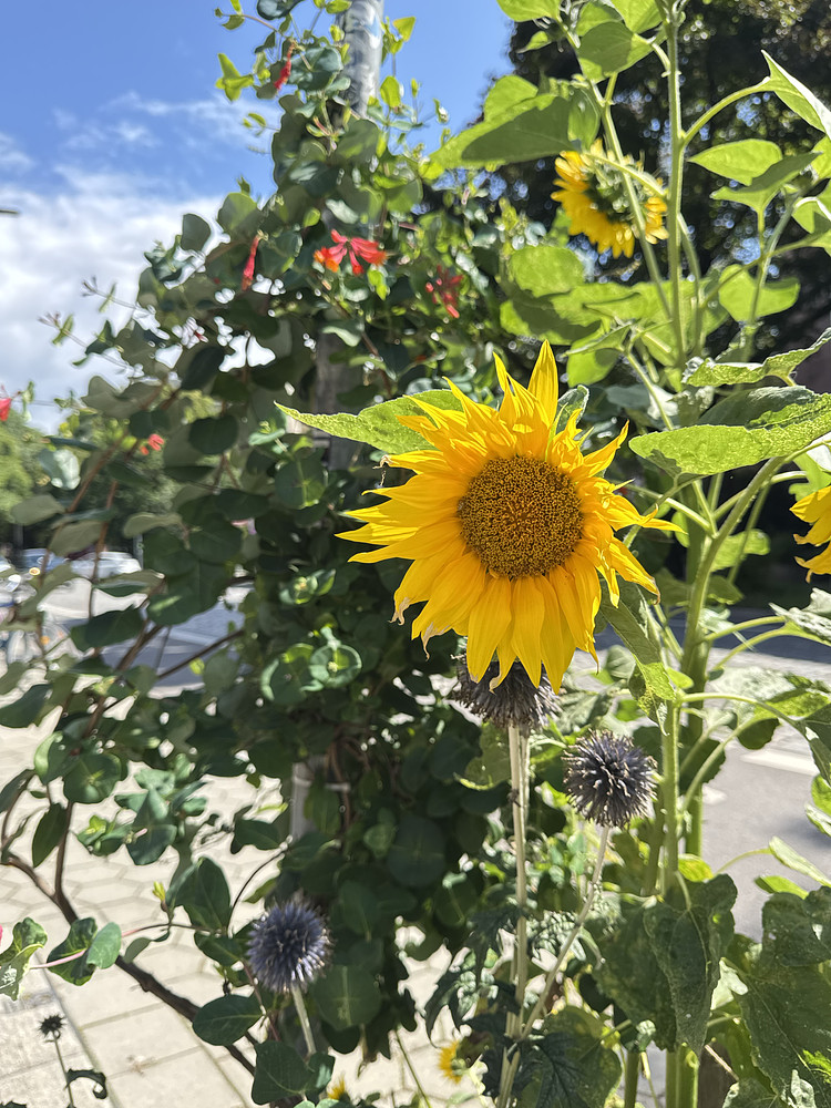 Photo 1903136