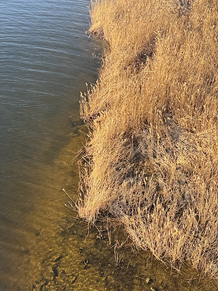 Landscape #2