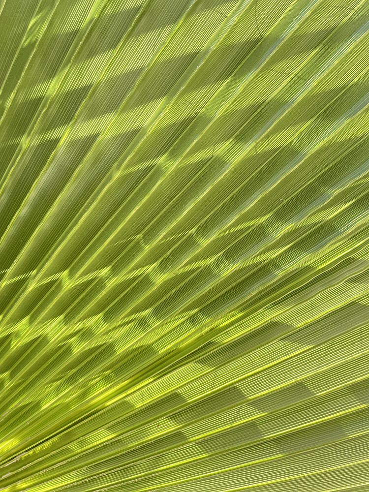 Green vibes