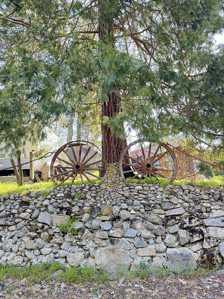 Wheels of fortune 