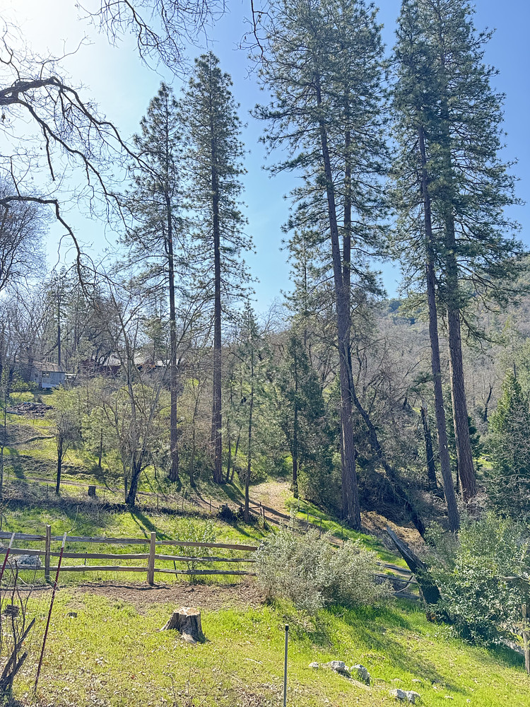 Hot Springs Morning 