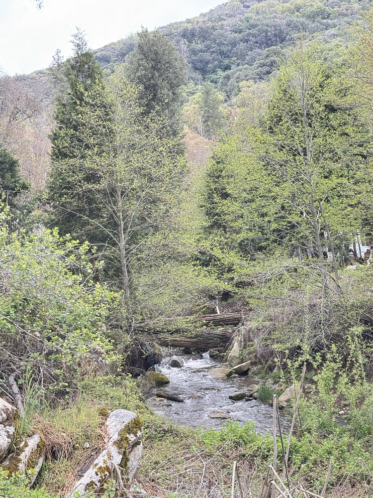 Capinero Creek