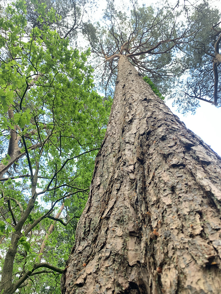 Photo 6915477