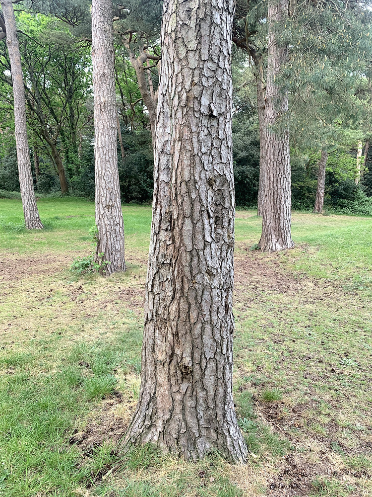 Photo 7878637