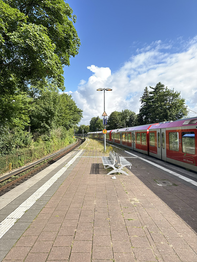 Photo 2915886