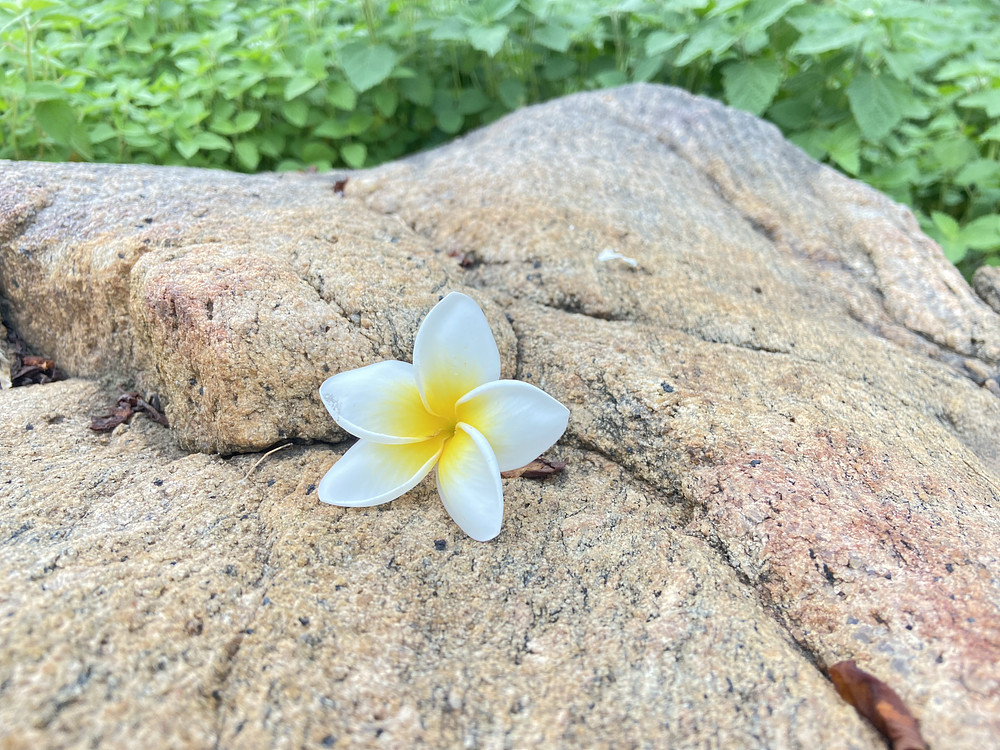 Lonely Flower