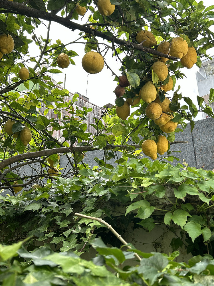 Photo 2034946