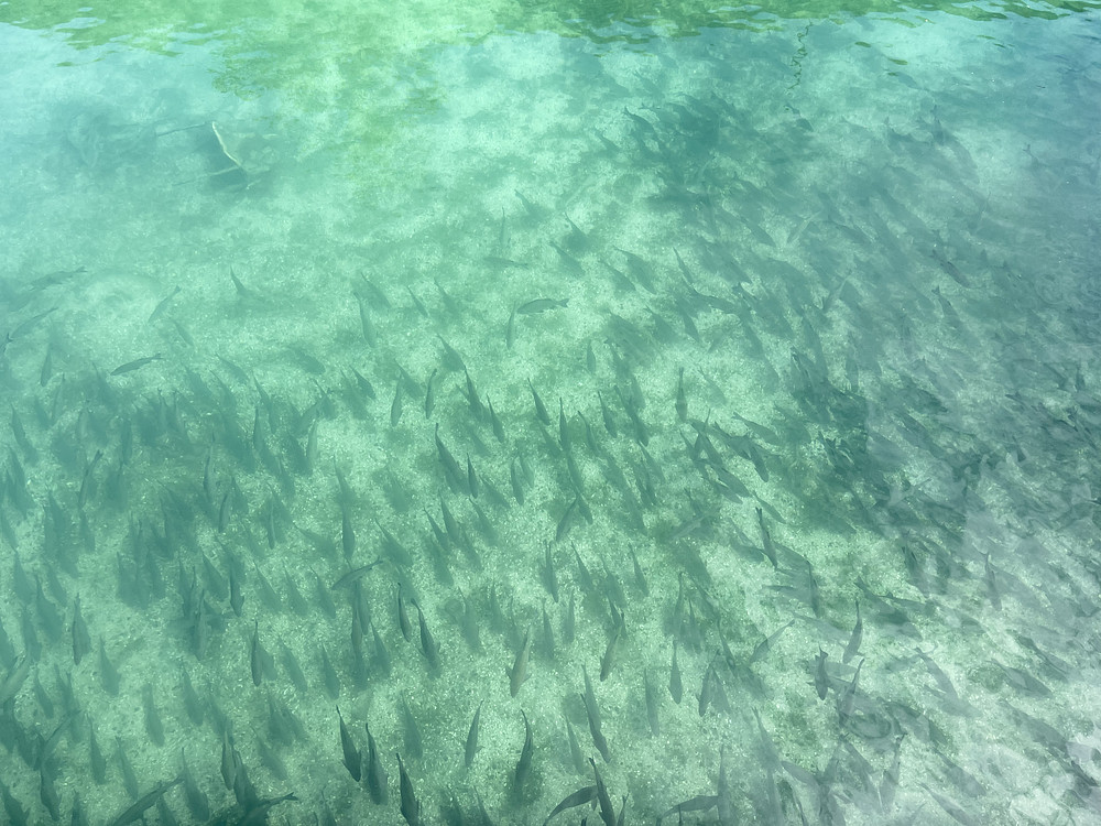 Fishing spot