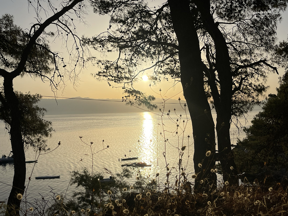 Photo 8976688