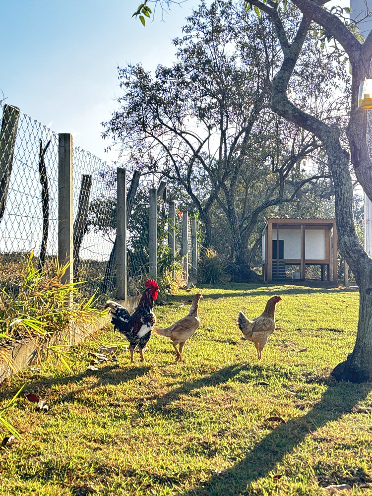 Ranch life