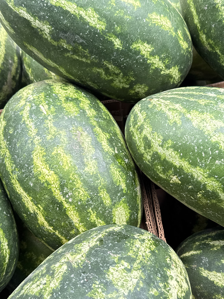 Watermelon for sale