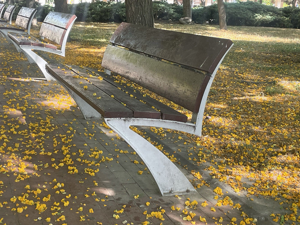 Park