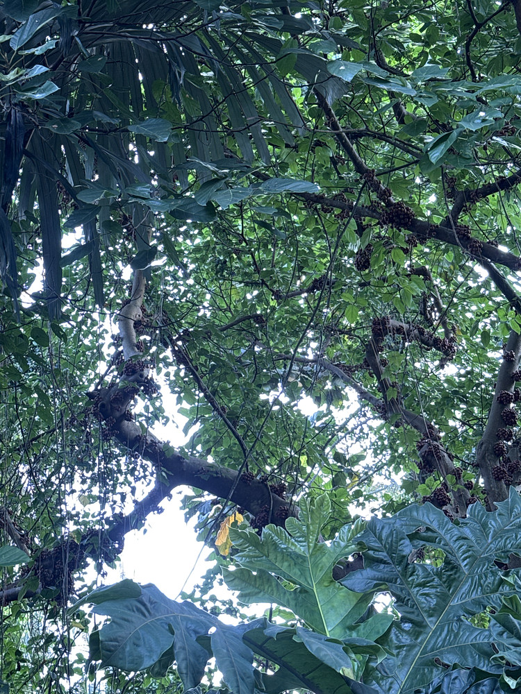 Photo 5937817