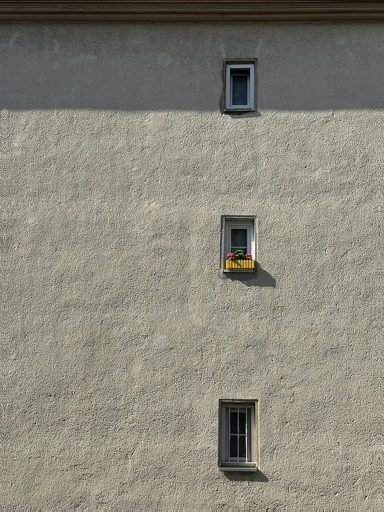 The Middle Window