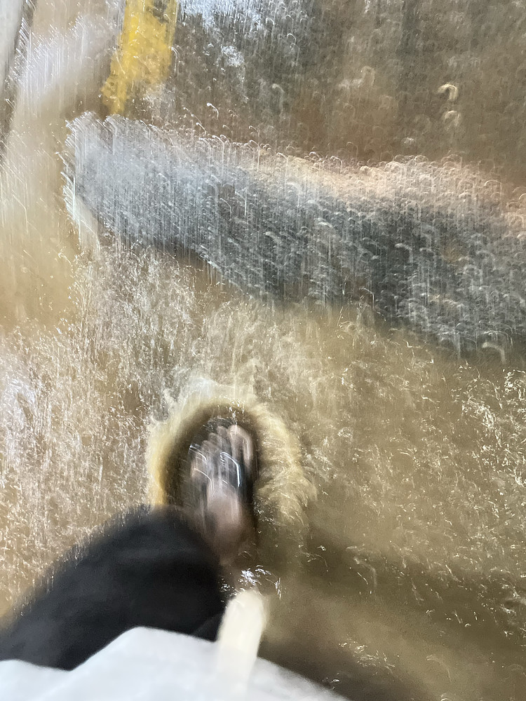 The Flood