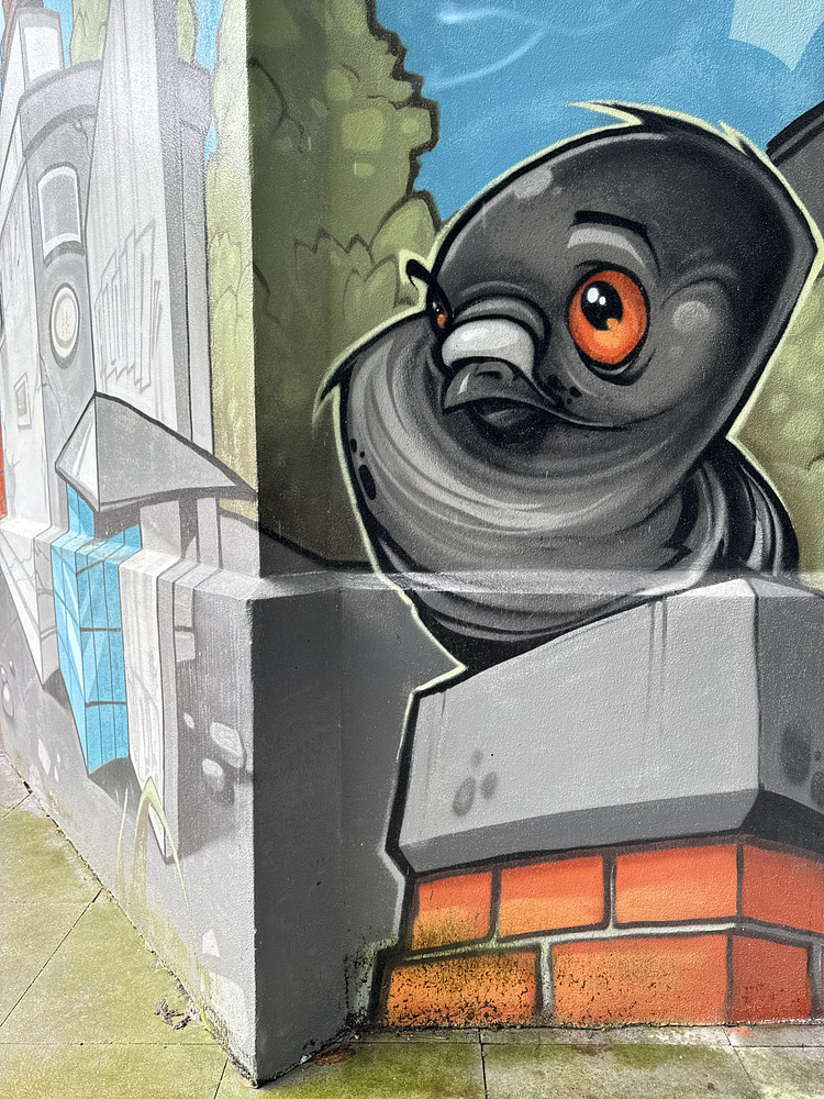 Pigeon A