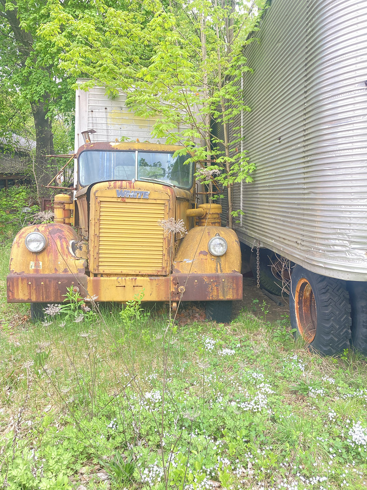 Photo 4198443