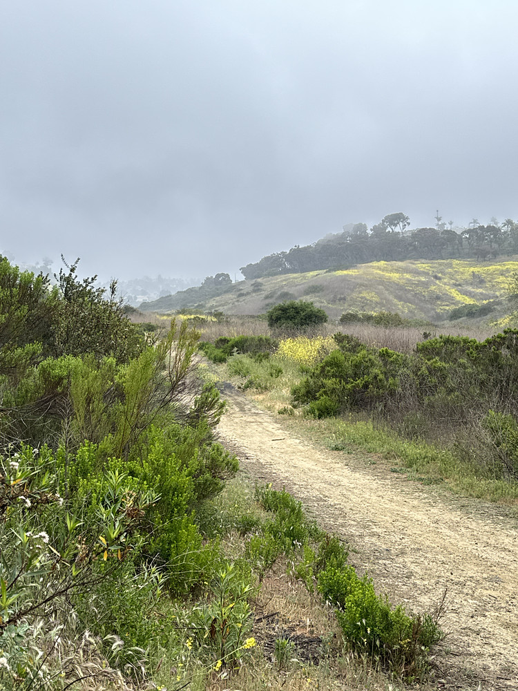 Natural pathway 