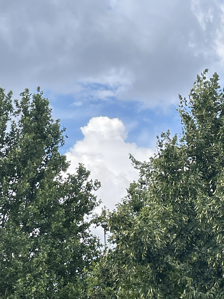 Cloud 003