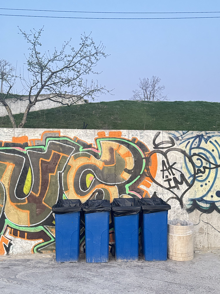Put all your trash here 