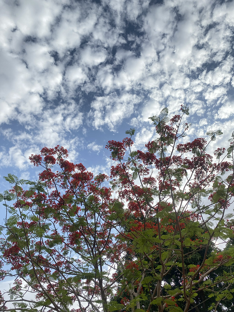 Nature color mix