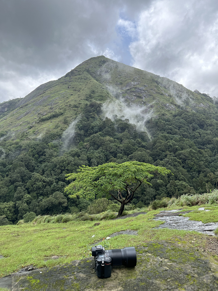 Photo 1116175