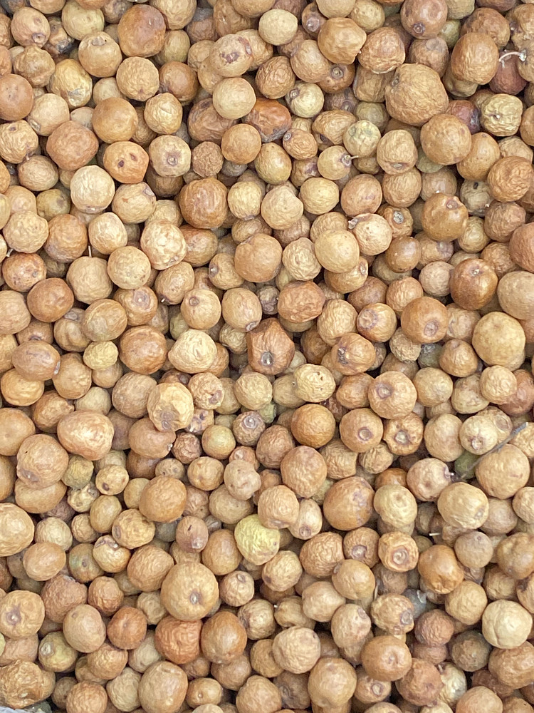 Jujube fruit, also called chinese dates