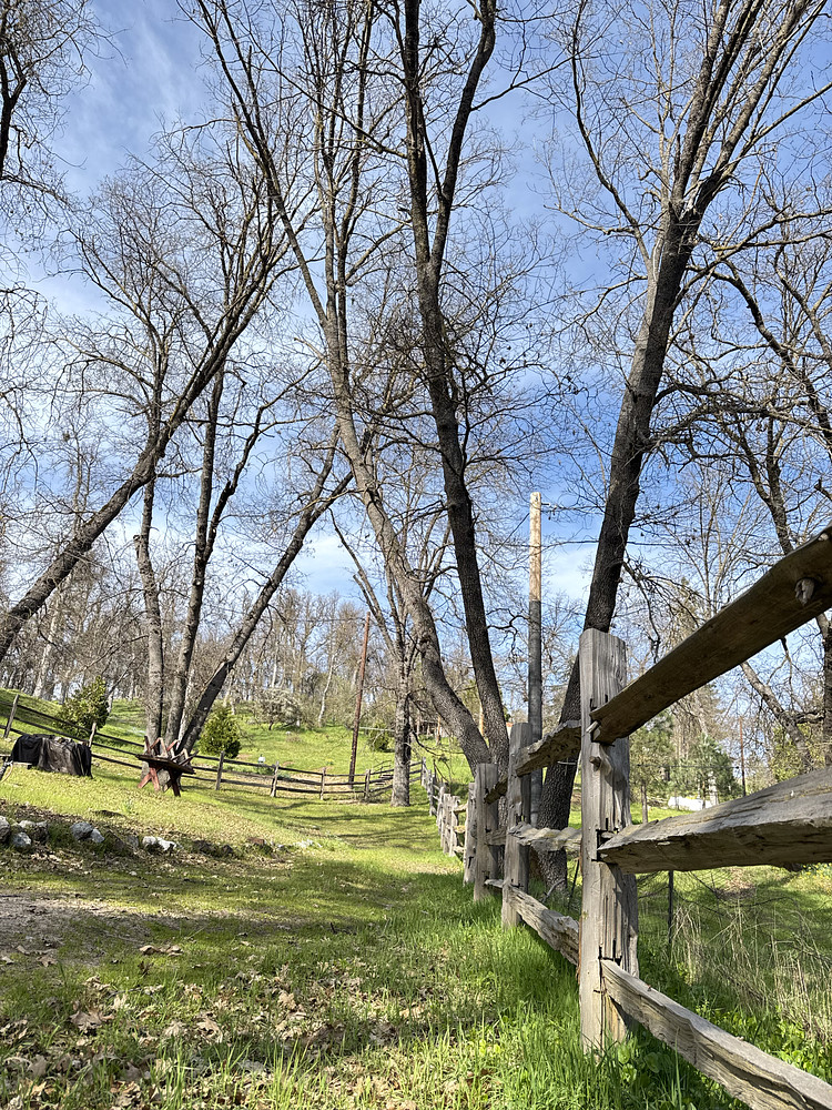 Fences