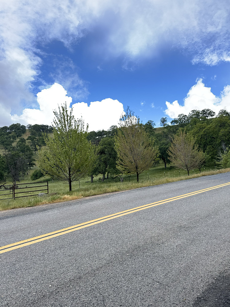 Blue Sky Lies