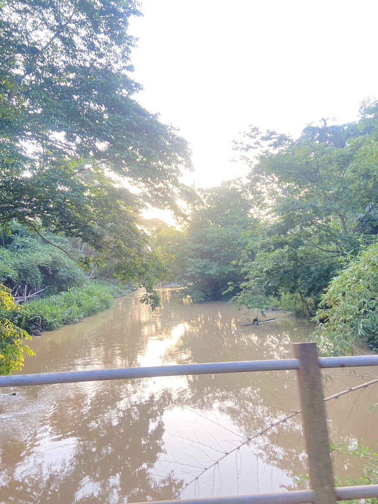Bridge 