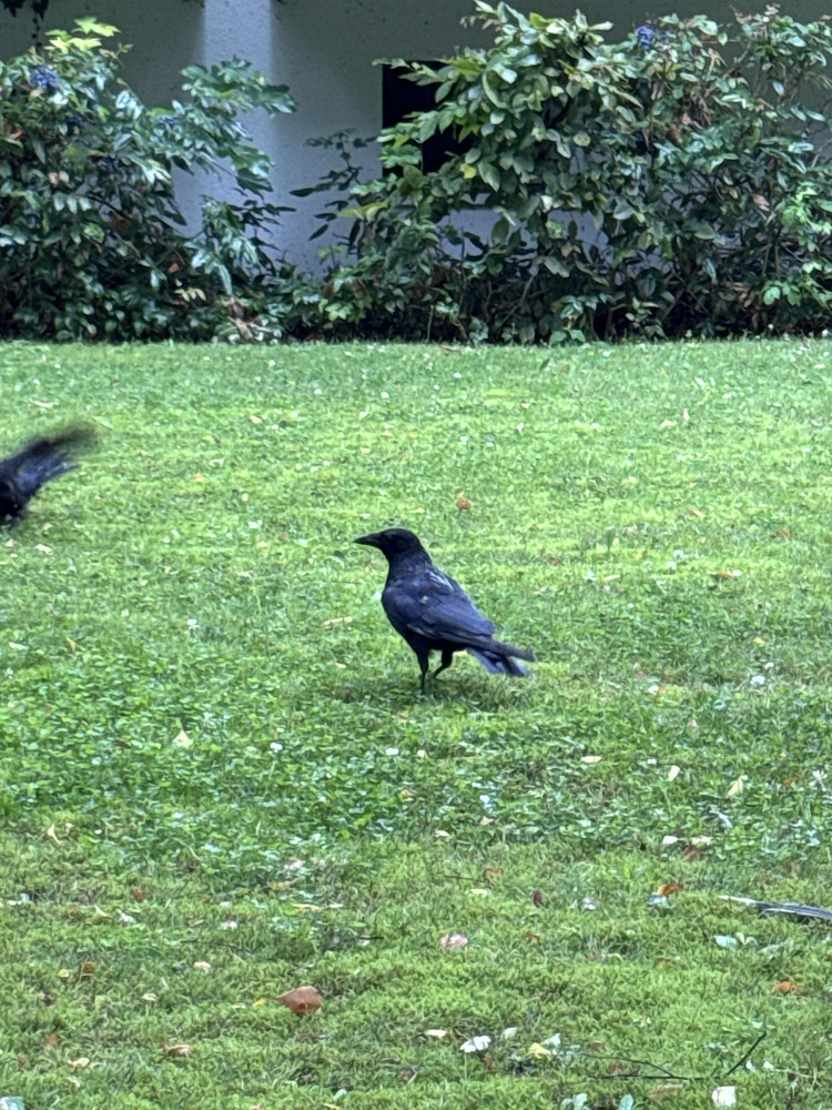 Photo 1092444