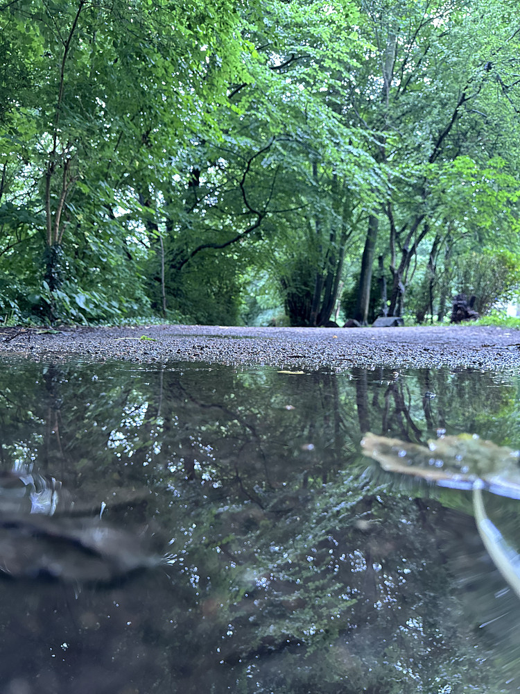 Photo 1516577