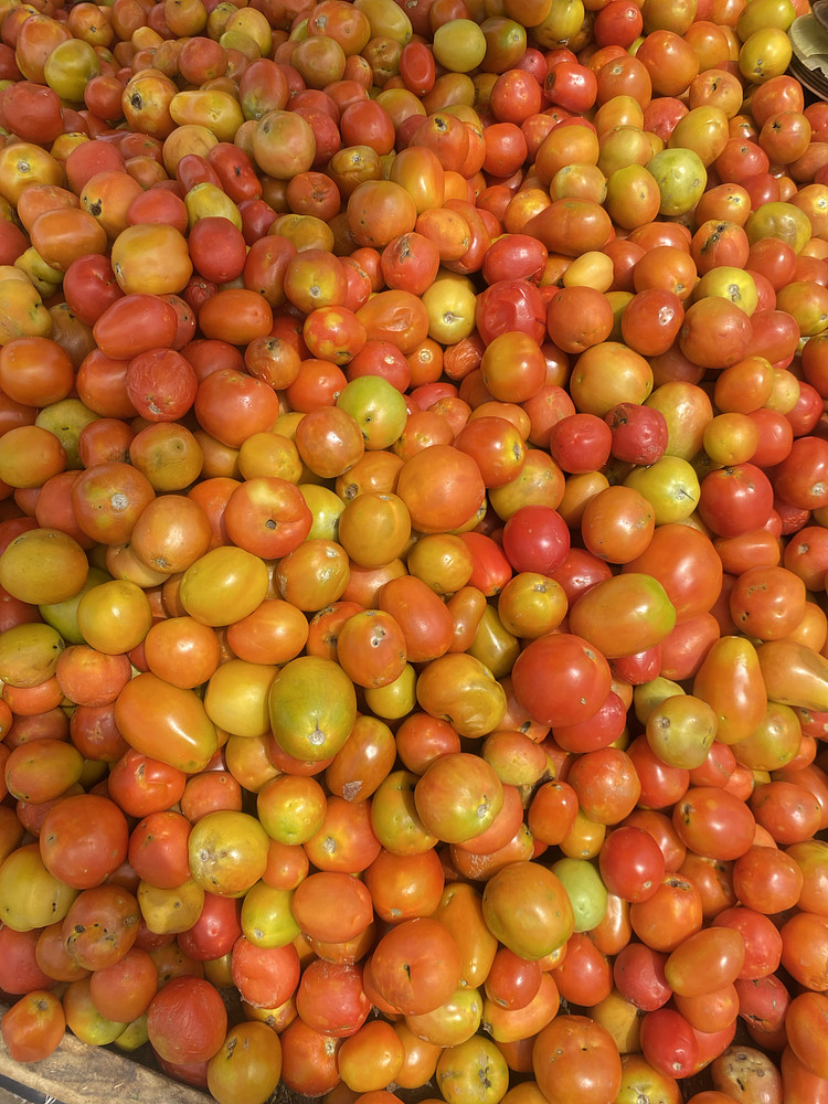 Tomatoes 
