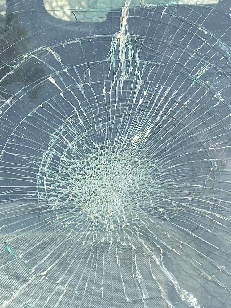 Spider Web?