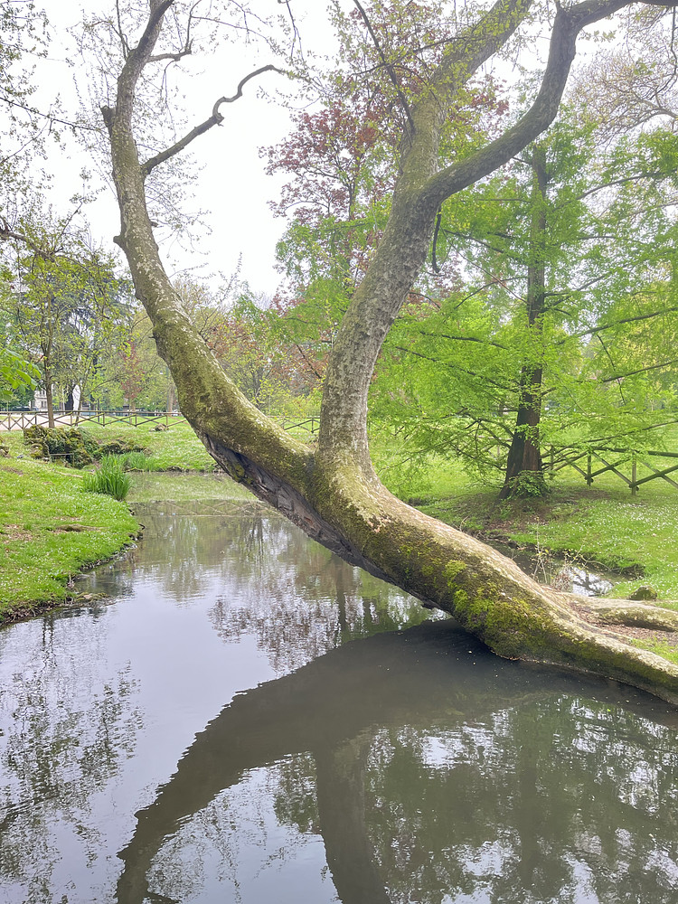 Greenest park