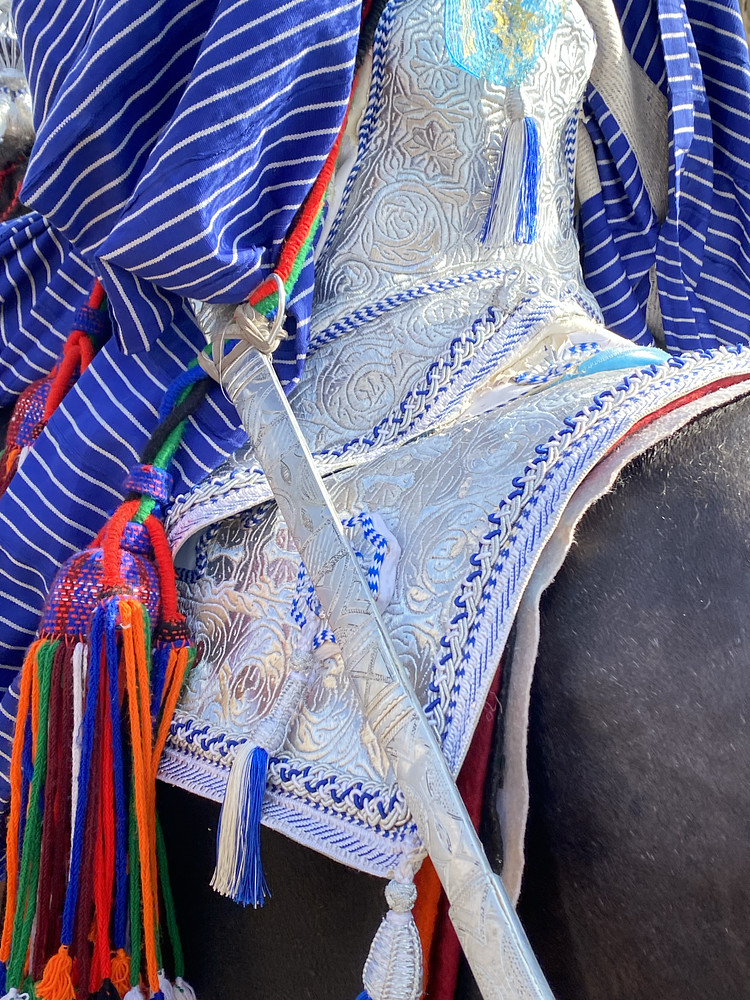 Historical fashion elements of a durbar rider