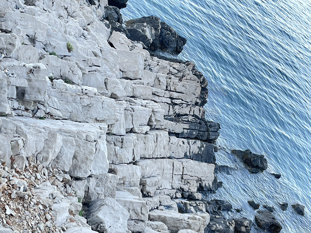 Photo 1765585