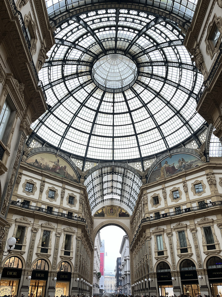 The gallery