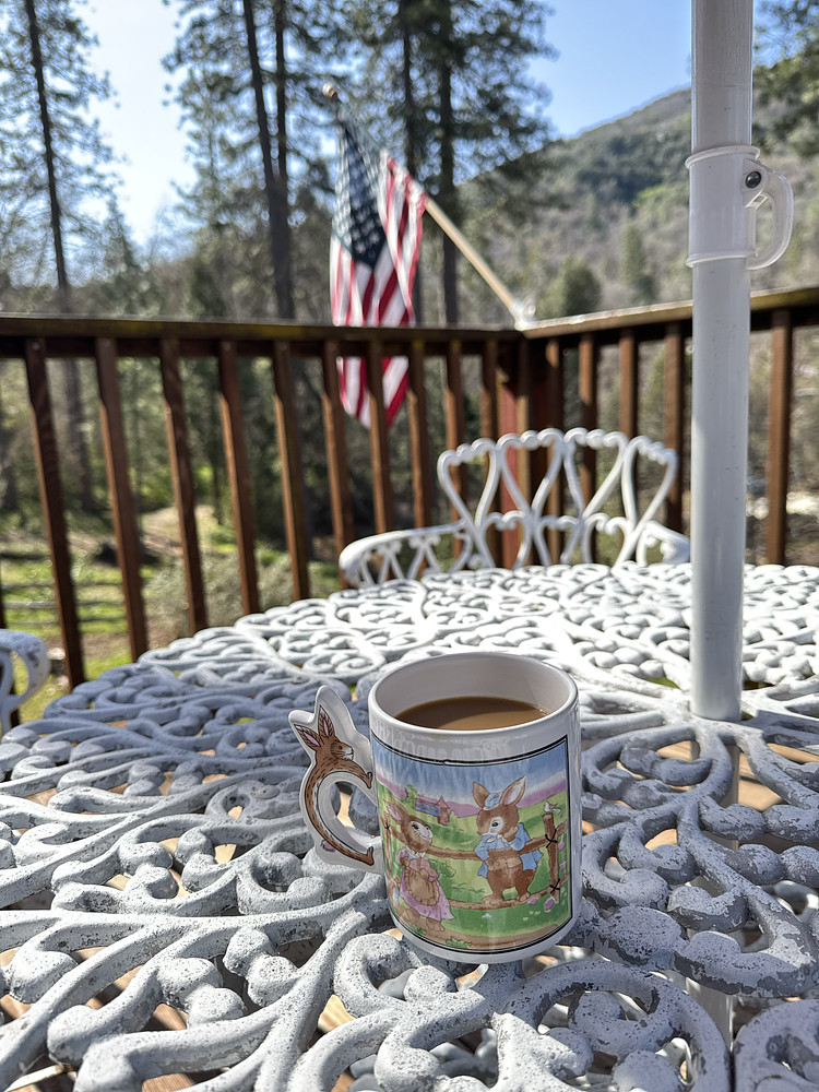Coffee with Forest Friends 