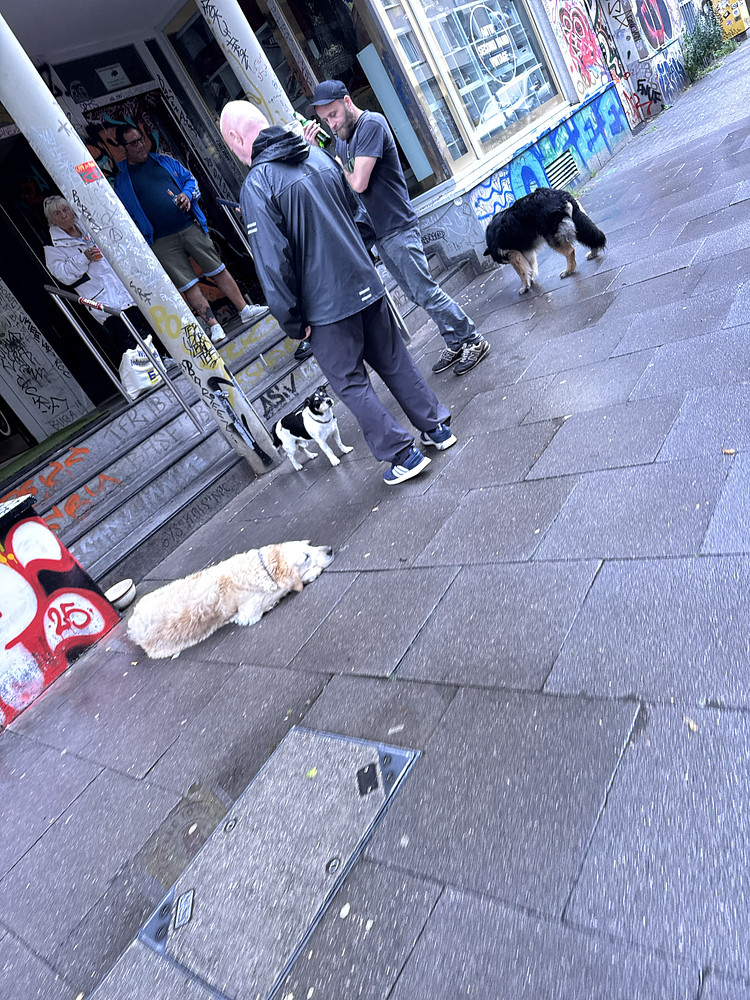 Photo 9969579