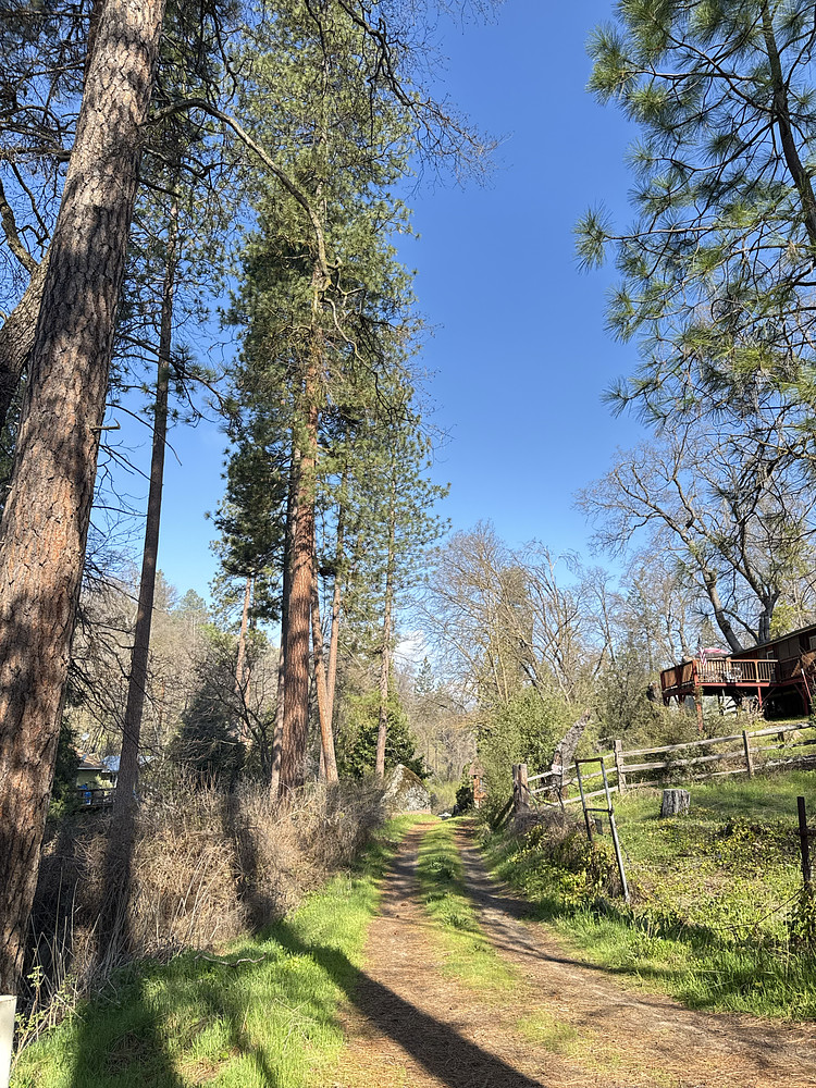 The Path