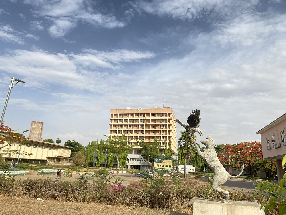 Nimal city 