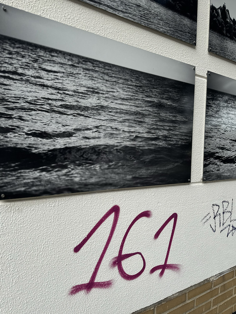 Waves Of BnW 