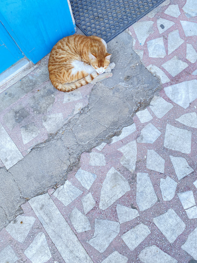 Orange love 