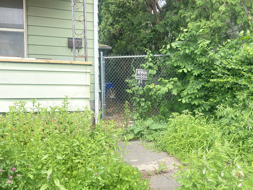 Photo 1071076