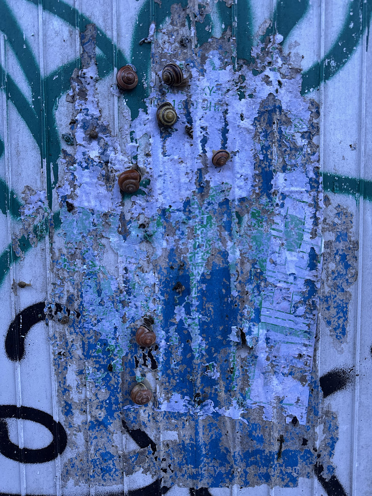 Photo 3454624