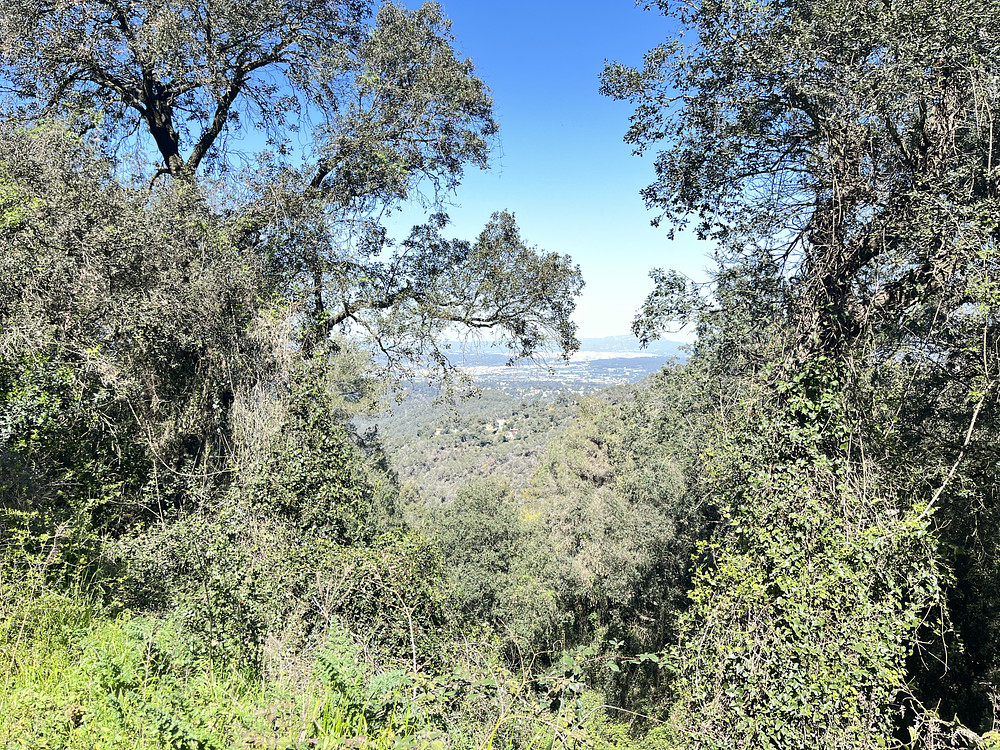 Almost at the summit