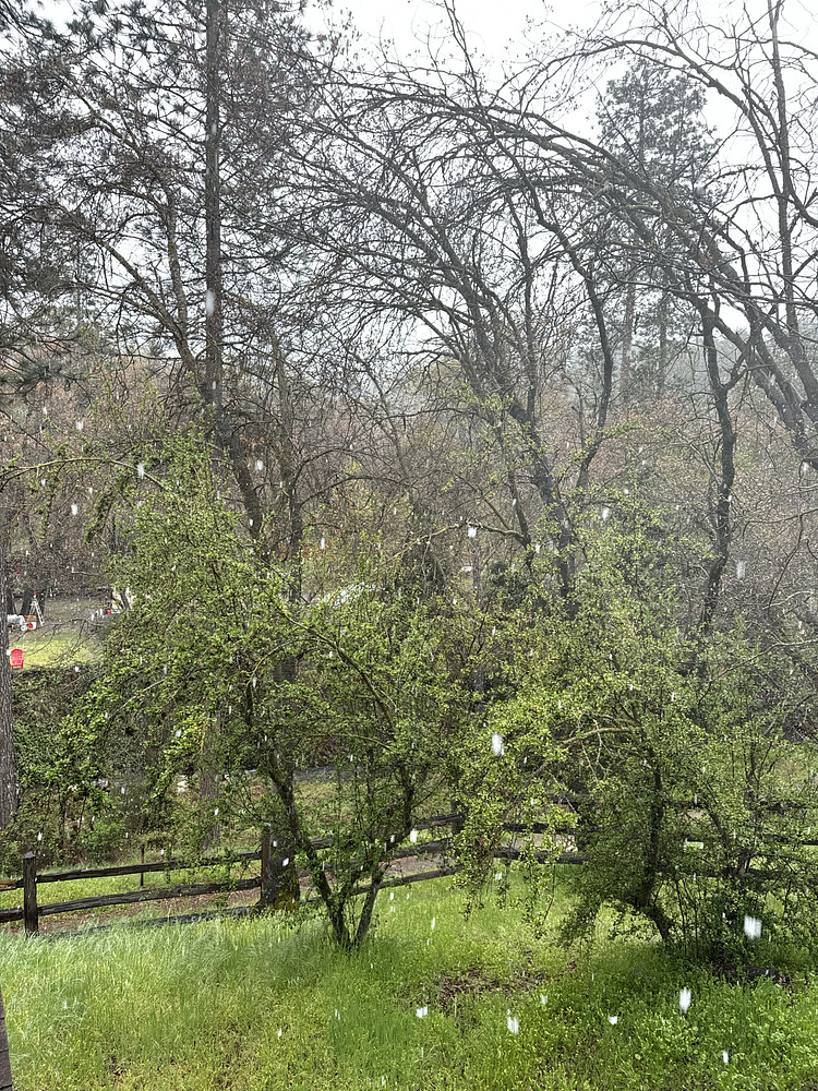 April Snow 